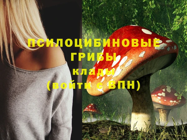 PSILOCYBIN Богородицк