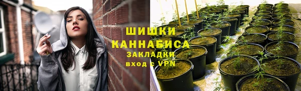 PSILOCYBIN Богородицк